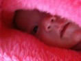 /album/manu/fotos-do-pen-drive-008-jpg/